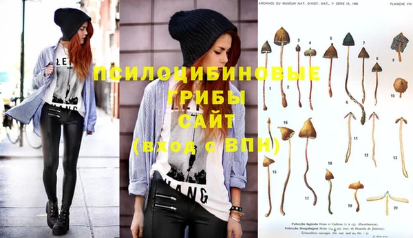 дурь Абинск